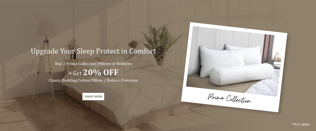 Upgrade Your Sleep Protect In Comfort