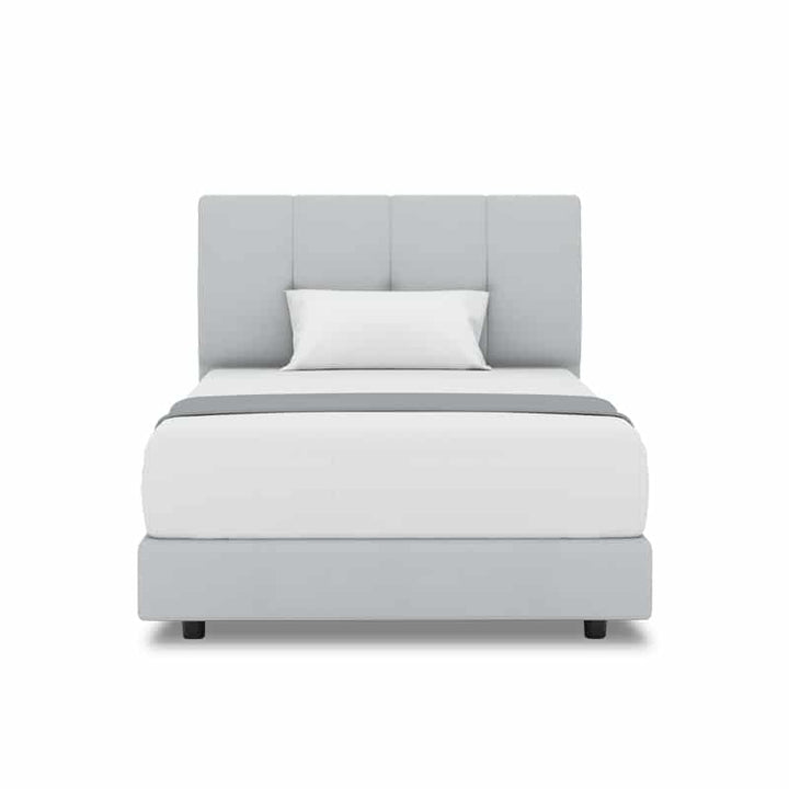 Collin Headboard + Night Angel Divan (Bed Frame)