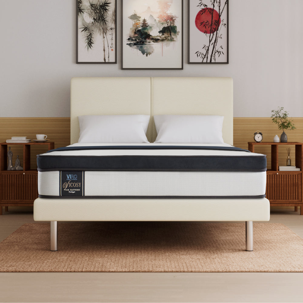 Vicosy 9.5'' Foam Mattress + Romeo Bed Frame (Package)
