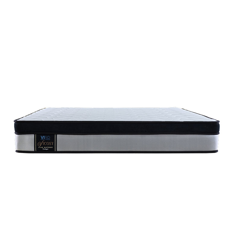 Vicosy 9.5'' Foam Mattress