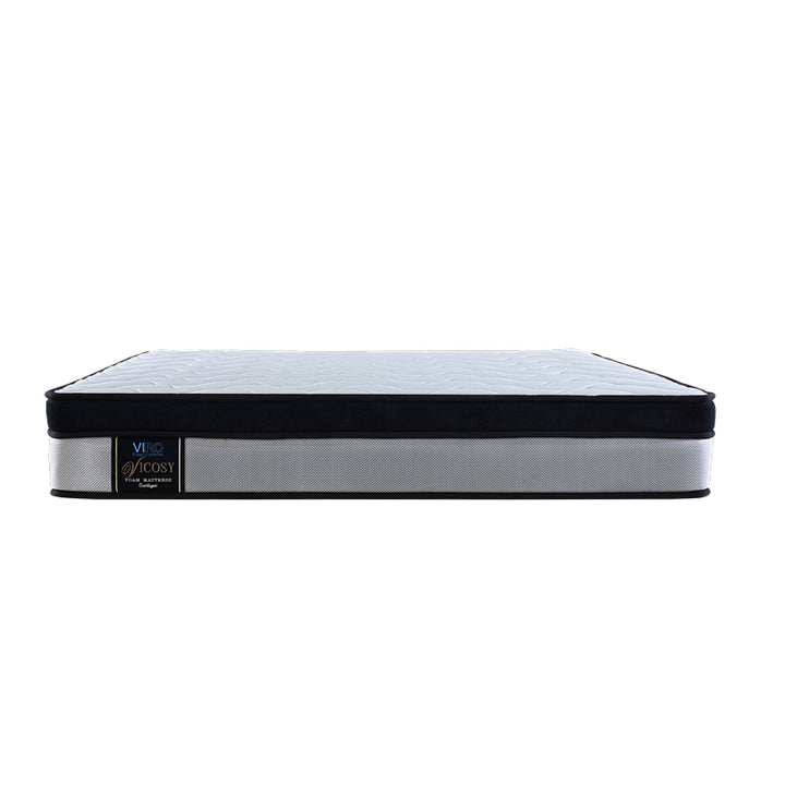 Vicosy 9.5'' Foam Mattress
