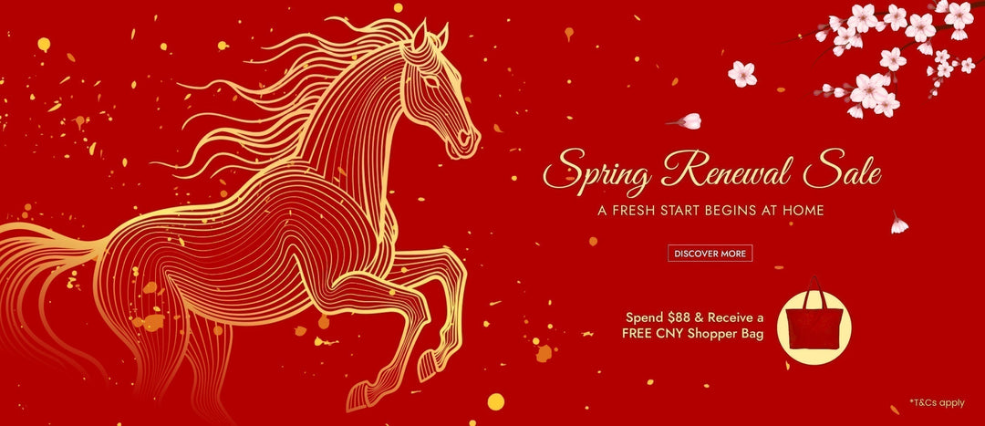 MaxCoil Spring Renewal Sale