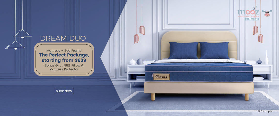 Dream Big with the Dream Duo This September
