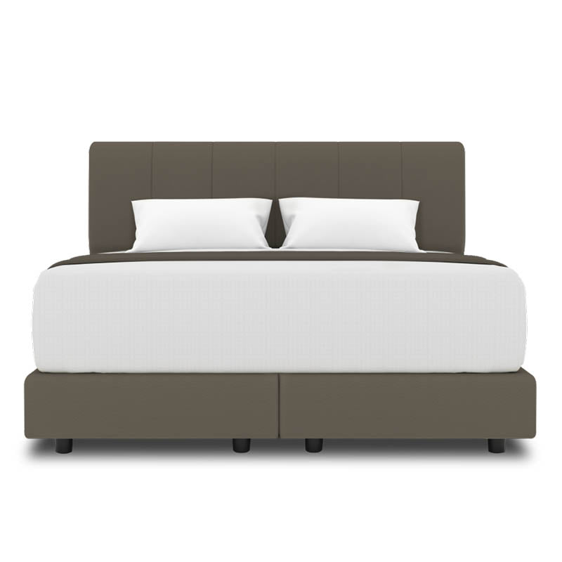 Yorkshire Headboard + Night Angel Divan (Bed Frame)