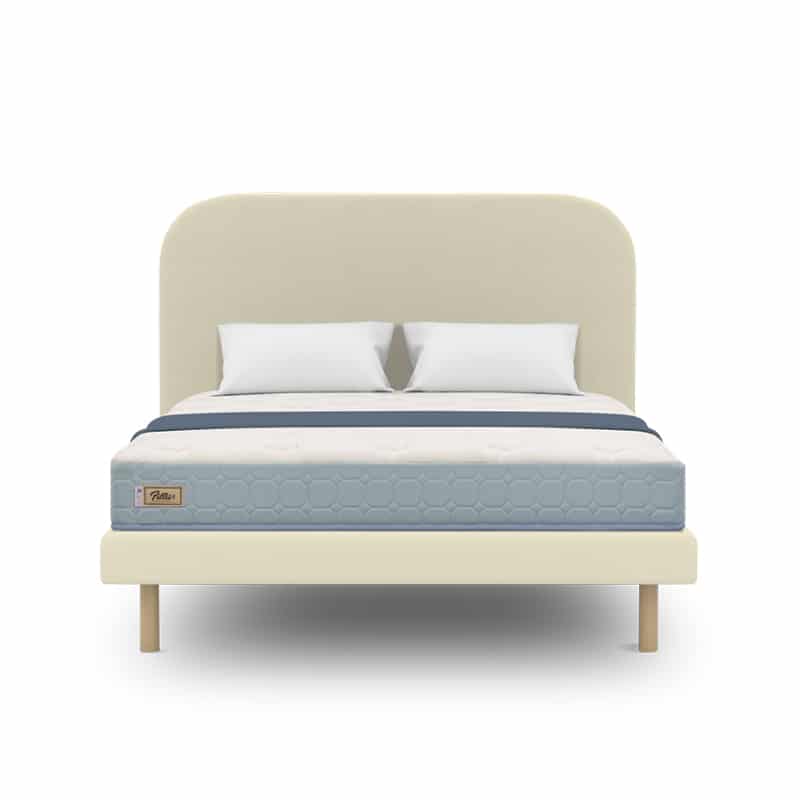 Fillis 4''/6''/8'' Foam Mattress