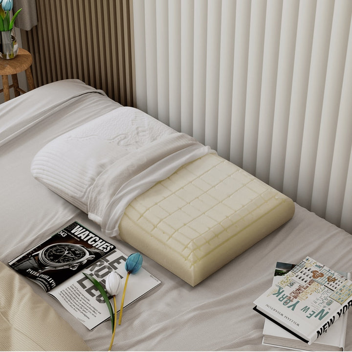 Alisa Aqua Latex Pillow (Medium Firm)