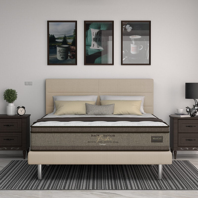 Back Savior Freshen 10.5" Pocketed Spring Mattress + Day Angel Bed Frame (Package)
