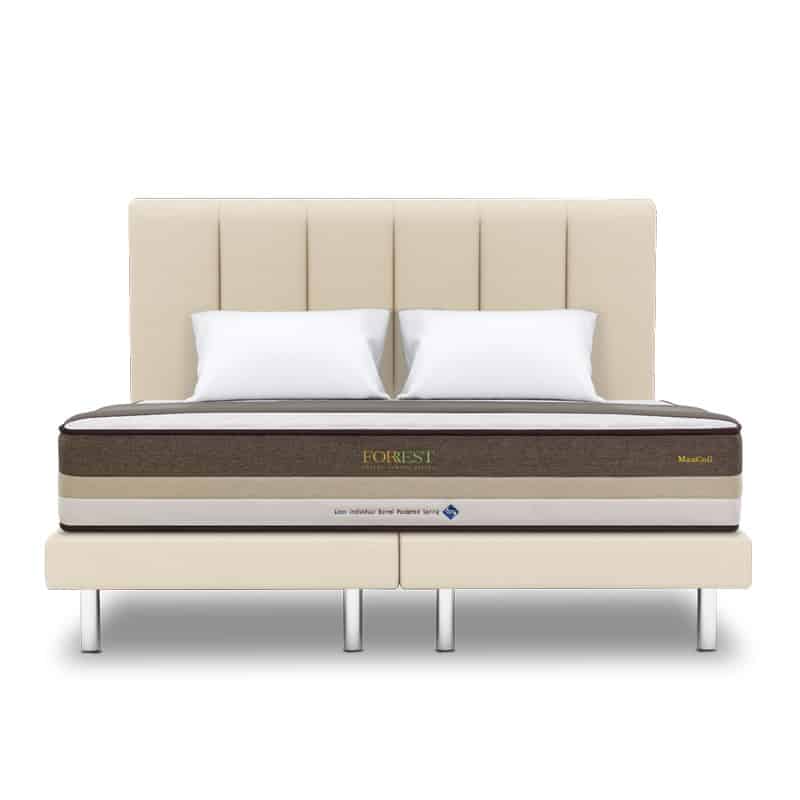Forrest Botany Bamboo Beesha 11" Pocketed Spring Mattress