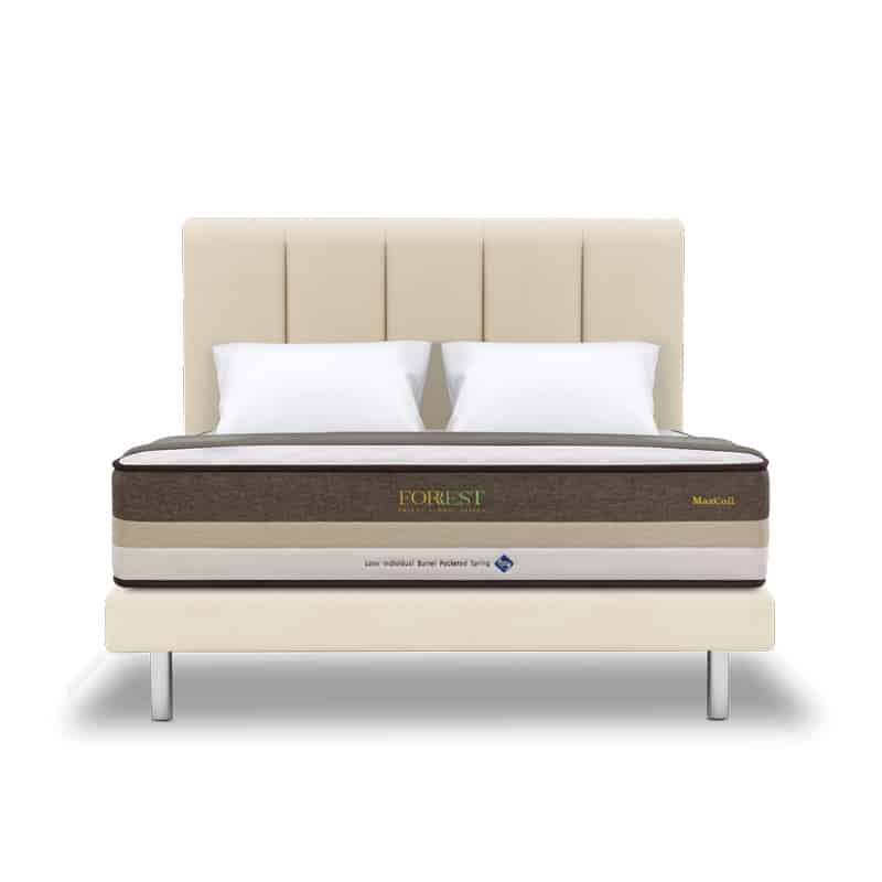 Forrest Botany Bamboo Beesha 11" Pocketed Spring Mattress