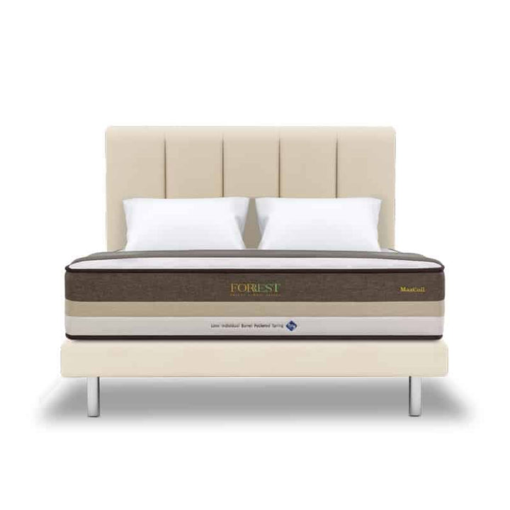 Forrest Botany Bamboo Beesha 11" Pocketed Spring Mattress