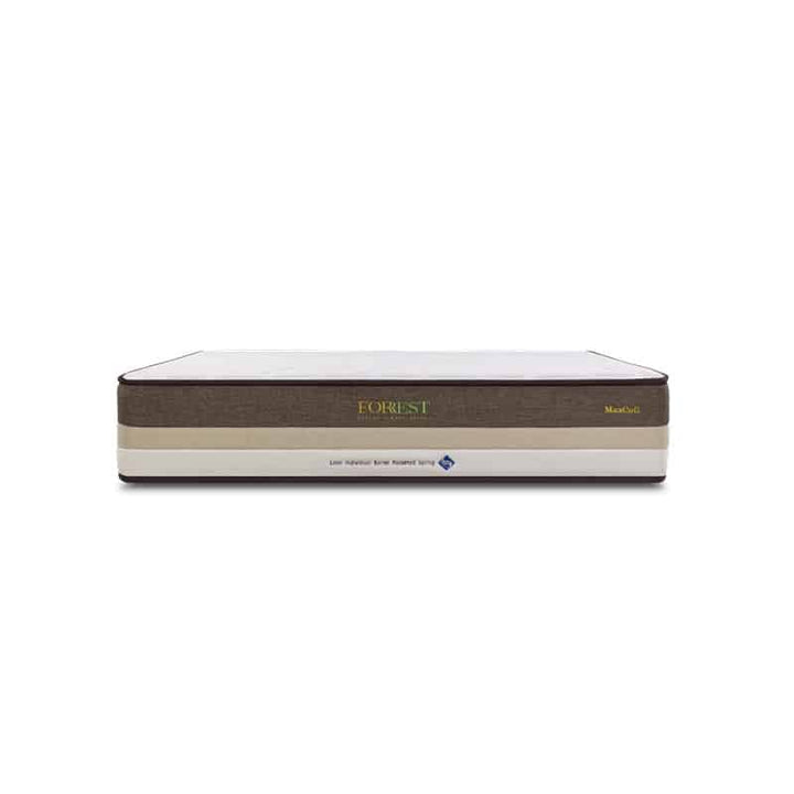 Forrest Botany Bamboo Beesha 11" Pocketed Spring Mattress