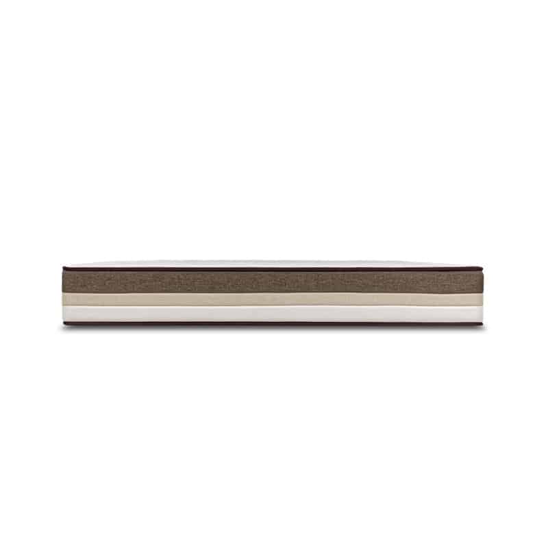 Forrest Botany Bamboo Beesha 11" Pocketed Spring Mattress