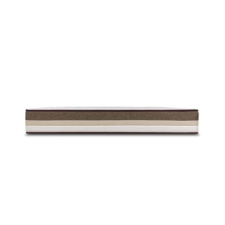 Forrest Botany Bamboo Beesha 11" Pocketed Spring Mattress