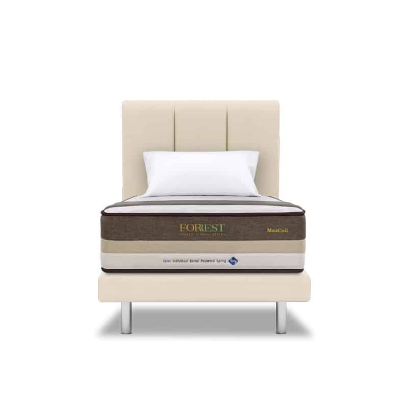 Forrest Botany Bamboo Beesha 11" Pocketed Spring Mattress
