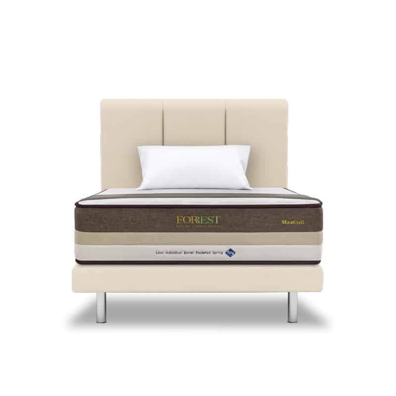 Forrest Botany Bamboo Beesha 11" Pocketed Spring Mattress