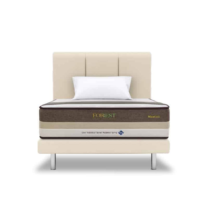 Forrest Botany Bamboo Beesha 11" Pocketed Spring Mattress