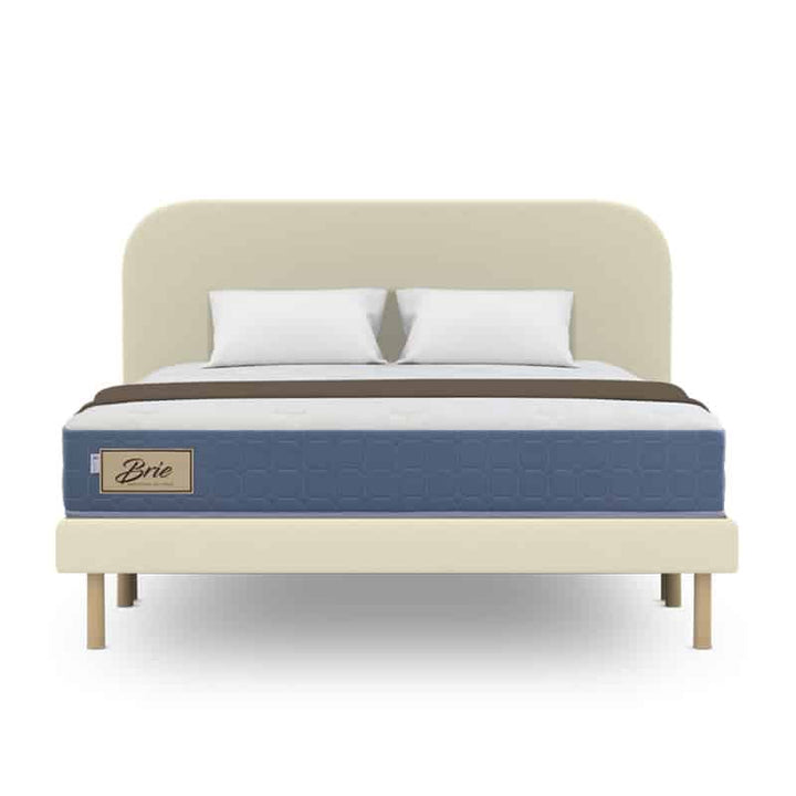 Brie 11" Bonnell Spring Mattress