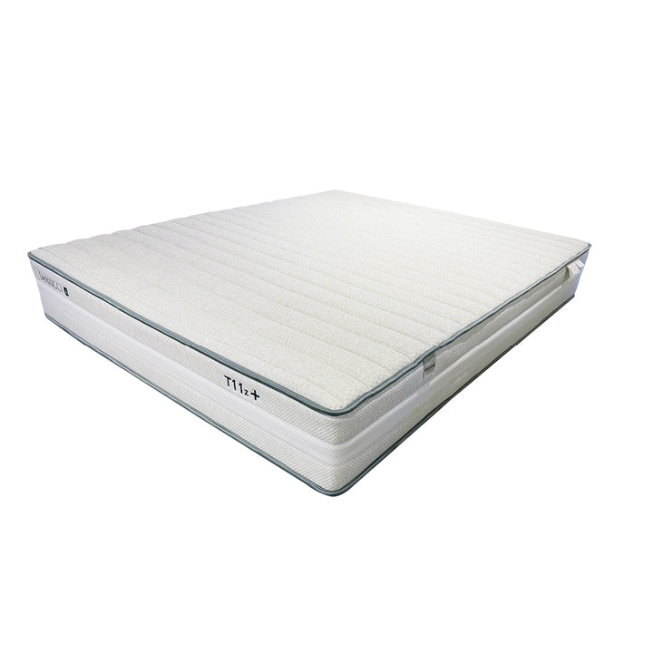 T11z+ AI Smart Mattress