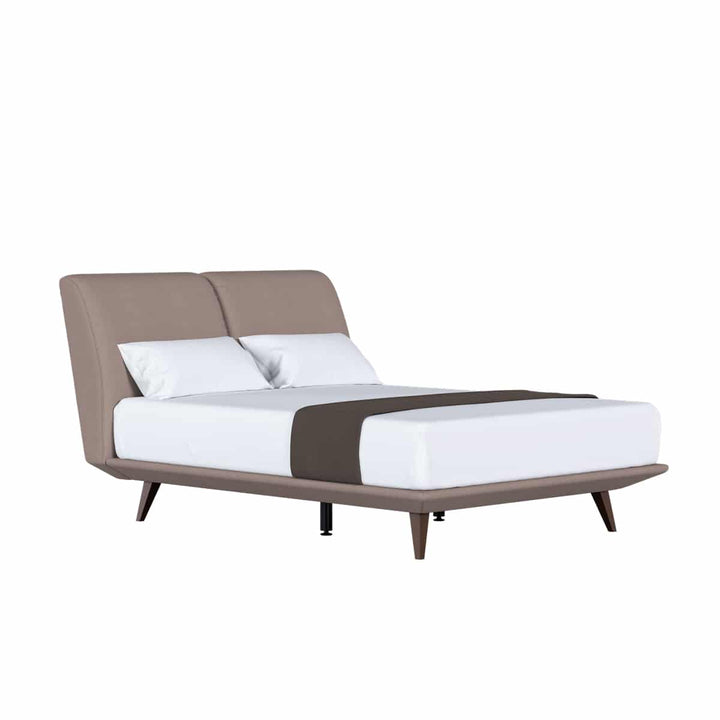 Darius Headboard + Daryn Divan (Bed Frame)