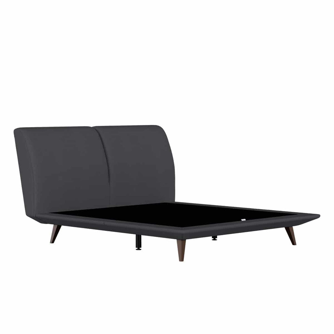 Darius Headboard + Daryn Divan (Bed Frame)