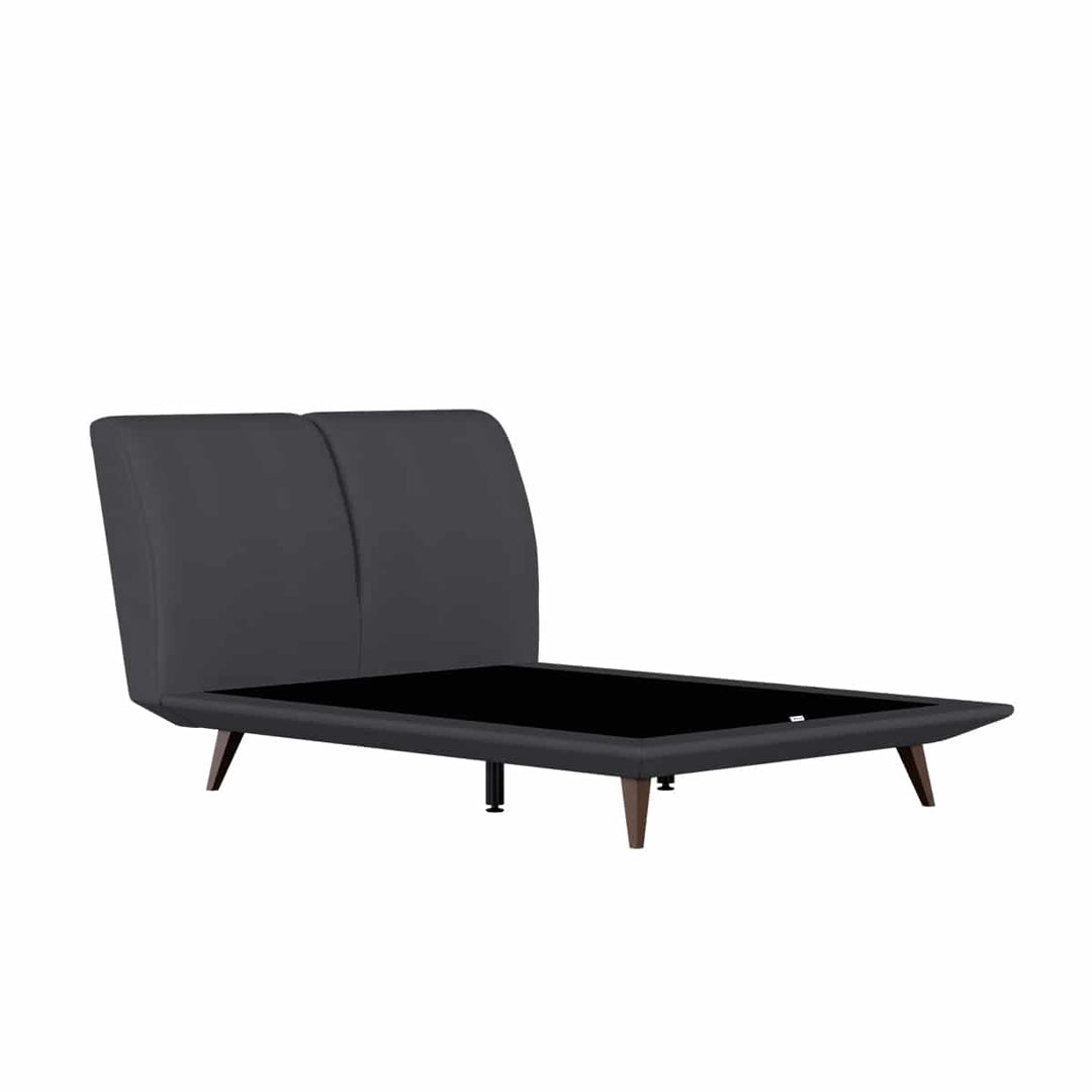 Darius Headboard + Daryn Divan (Bed Frame)