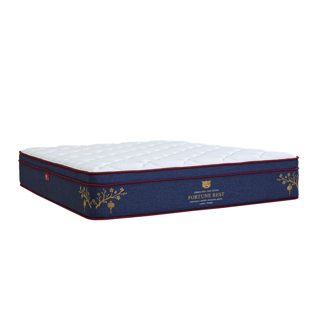 Fortune Rest 12'' Pocketed Spring Mattress + Alpha Storage Bed (Package)