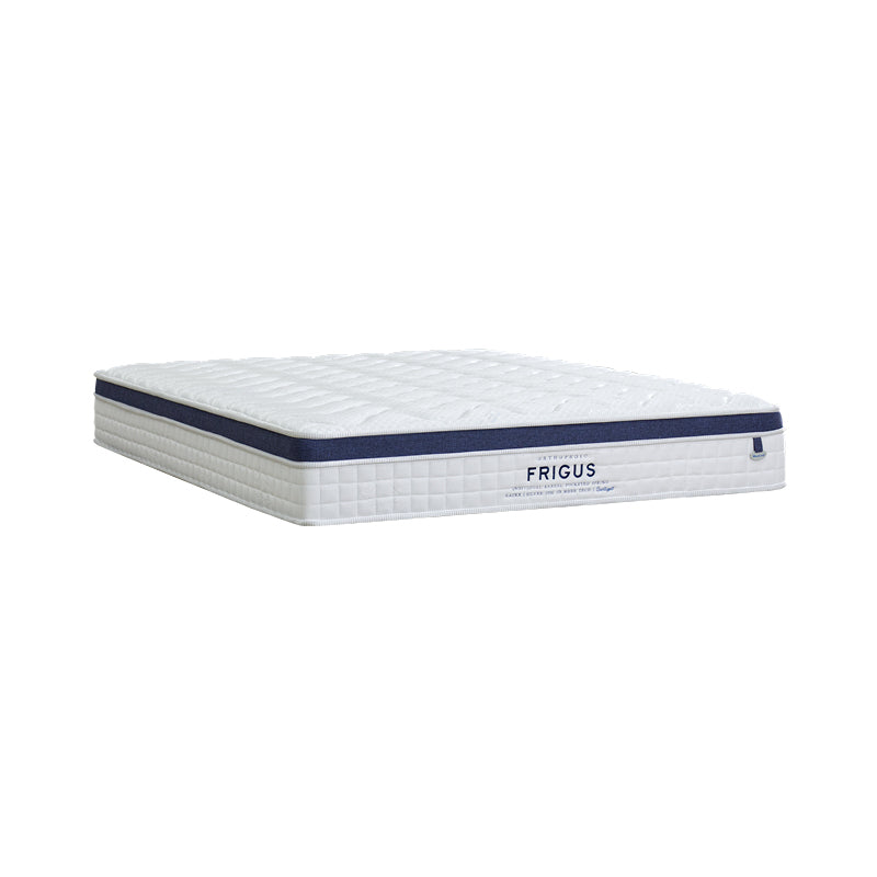 Ice Sleep Frigus 11" Pocketed Spring Mattress