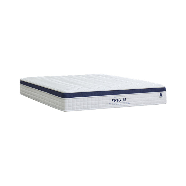 Ice Sleep Frigus 11" Pocketed Spring Mattress