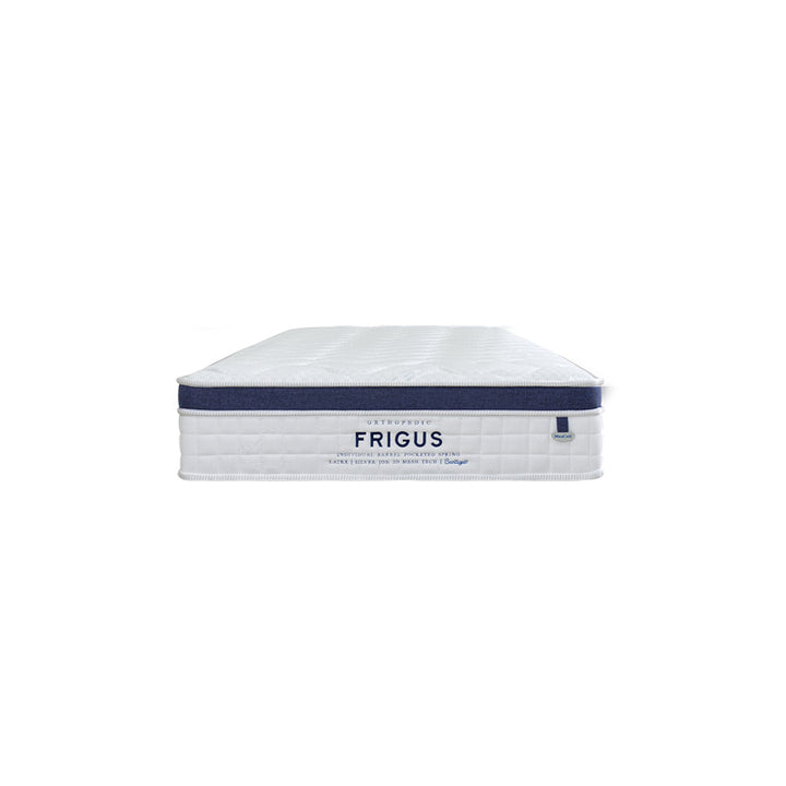 Ice Sleep Frigus 11" Pocketed Spring Mattress