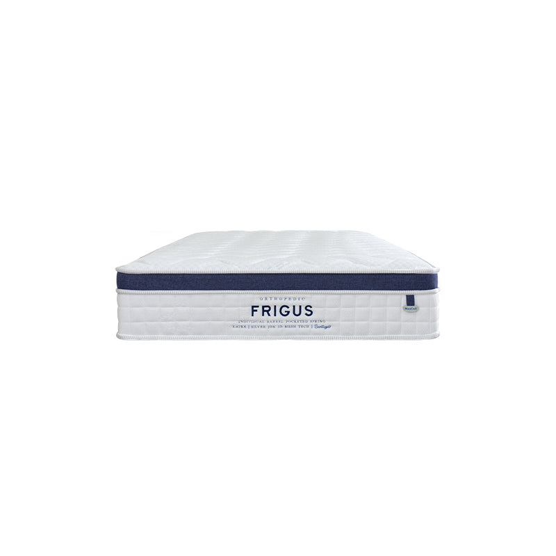 Ice Sleep Frigus 11" Pocketed Spring Mattress