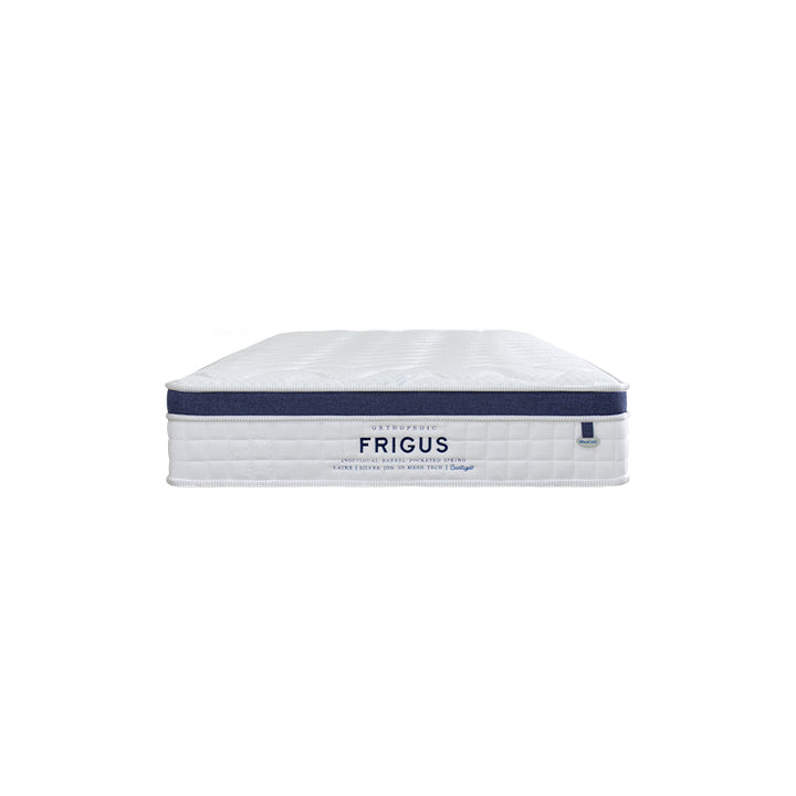 Ice Sleep Frigus 11" Pocketed Spring Mattress