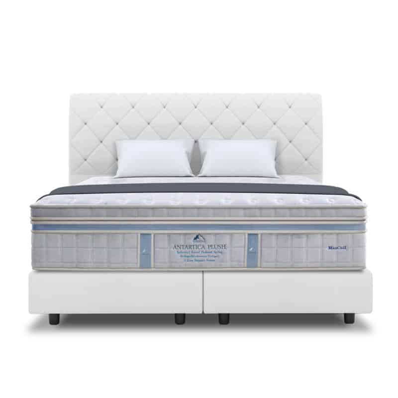 ICEBERG Antarctica Plush 15.5" Pocketed Spring Mattress