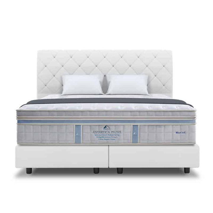 ICEBERG Antarctica Plush 15.5" Pocketed Spring Mattress