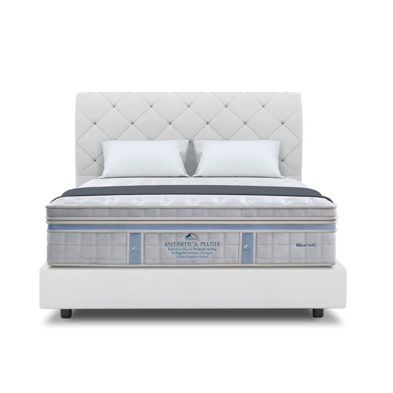 ICEBERG Antarctica Plush 15.5" Pocketed Spring Mattress