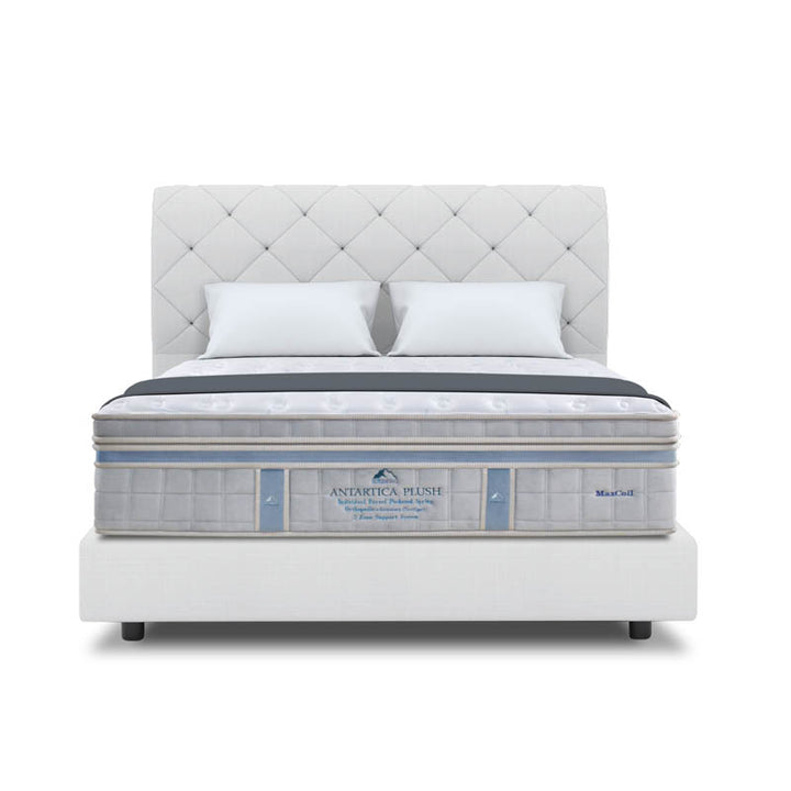 ICEBERG Antarctica Plush 15.5" Pocketed Spring Mattress