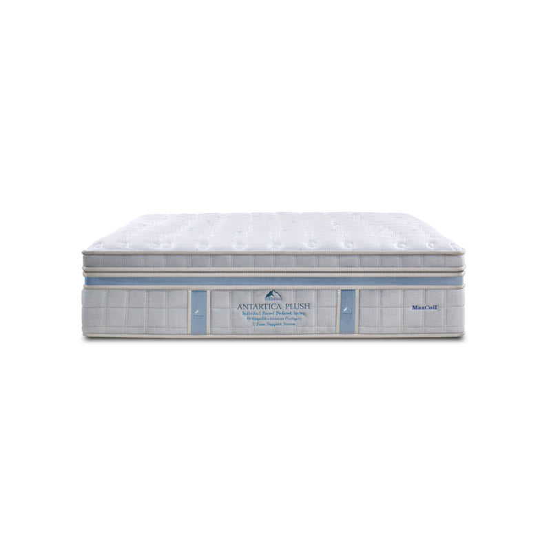 ICEBERG Antarctica Plush 15.5" Pocketed Spring Mattress