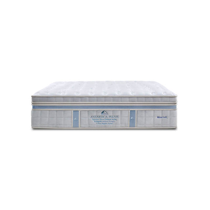 ICEBERG Antarctica Plush 15.5" Pocketed Spring Mattress