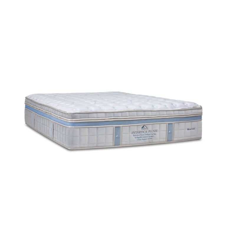 ICEBERG Antarctica Plush 15.5" Pocketed Spring Mattress