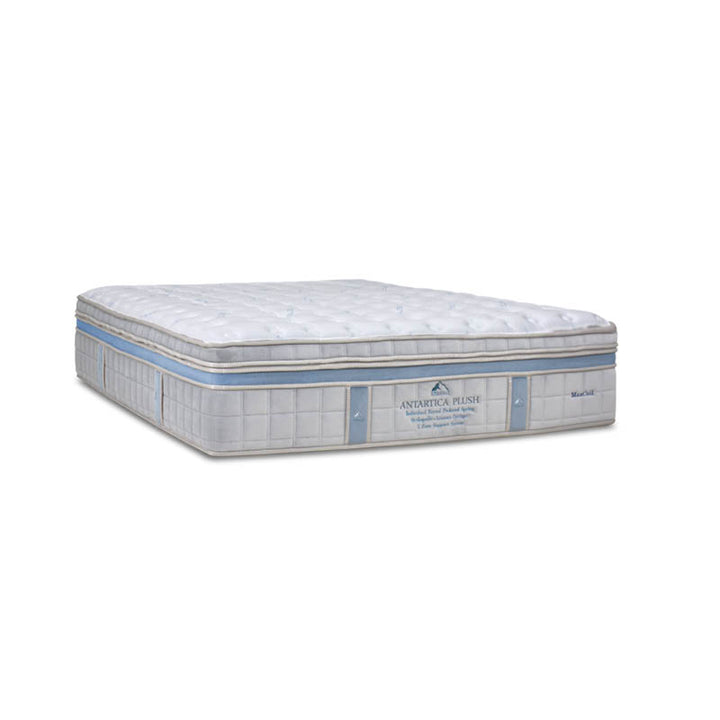 ICEBERG Antarctica Plush 15.5" Pocketed Spring Mattress
