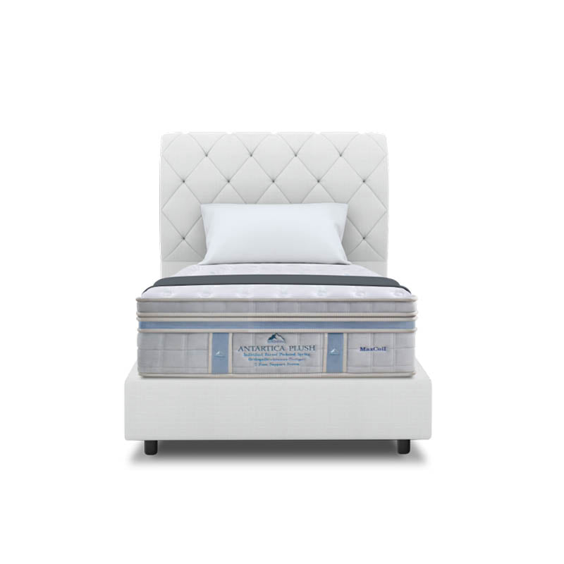 ICEBERG Antarctica Plush 15.5" Pocketed Spring Mattress