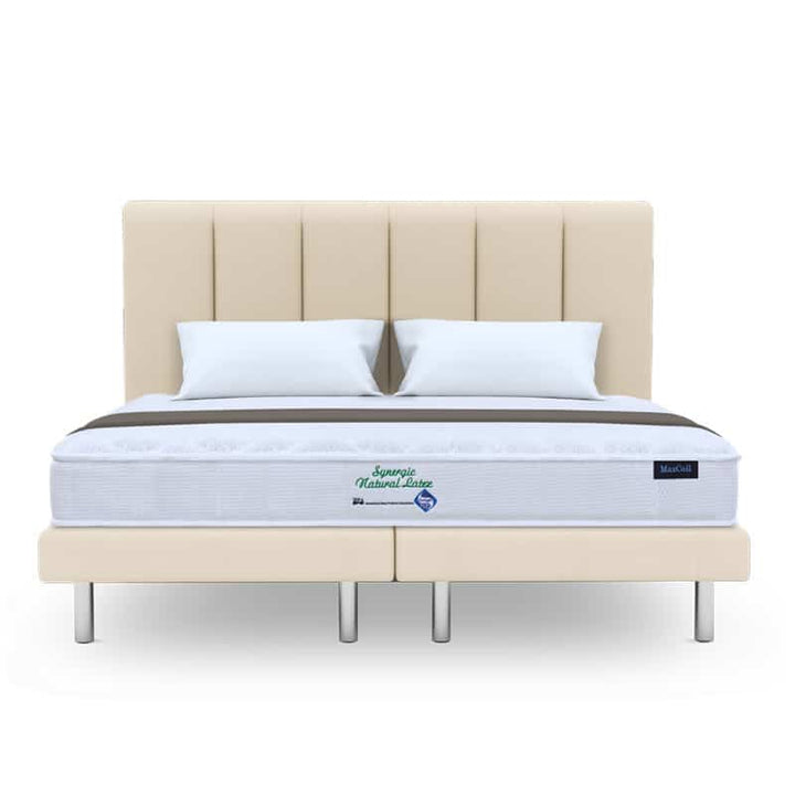 Synergic Latex 7" Foam Mattress