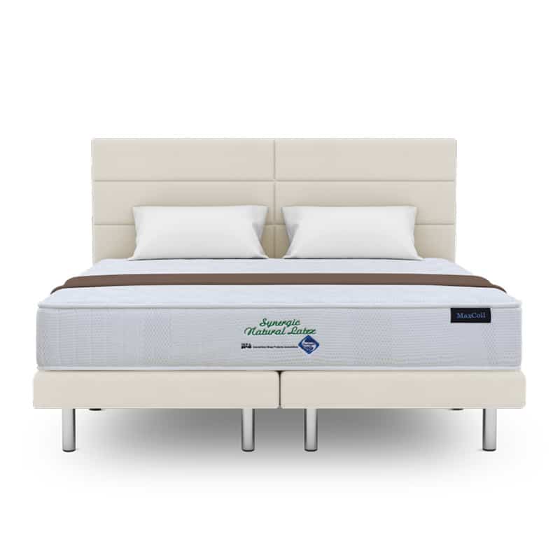Synergic Latex 9" Foam Mattress