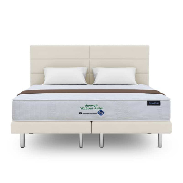 Synergic Latex 9" Foam Mattress