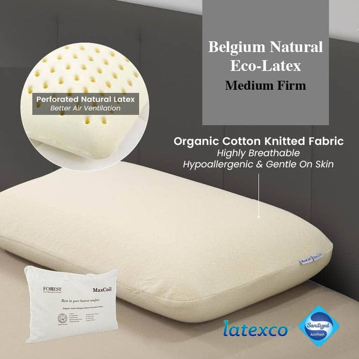 Organic Cotton Belgium Natural Latex Pillow