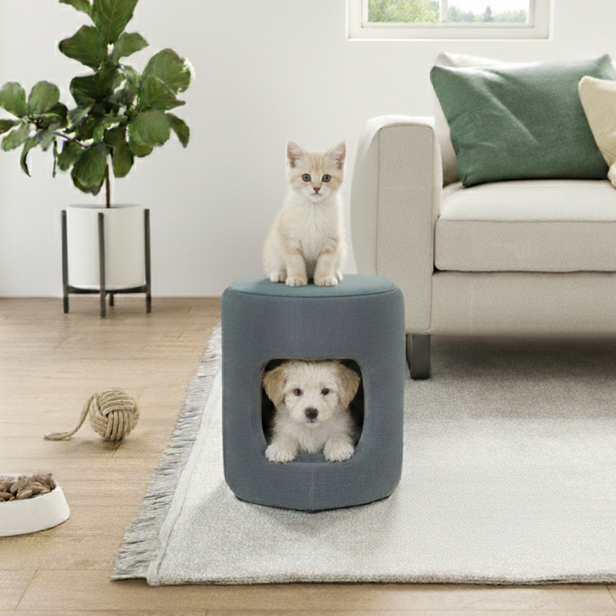 Stolly Pet Cave Stool – Mattress International