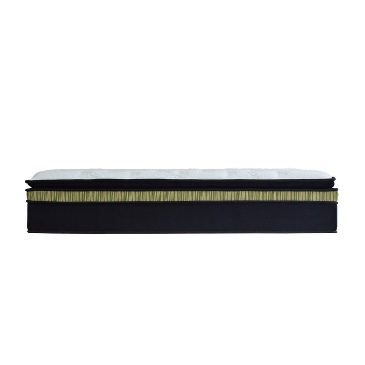 Avonest 14.5" Pocketed Spring Mattress