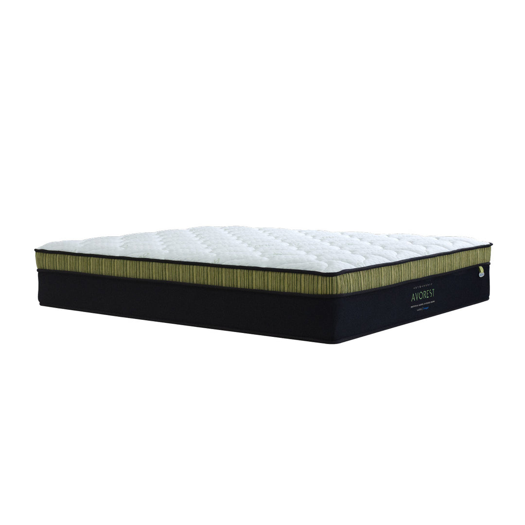 Avorest 12.5" Pocketed Spring Mattress + Day Angel Bed Frame (Package)