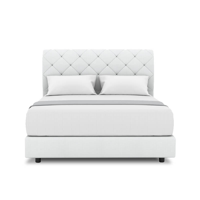 Belissa Headboard + Night Angelica Divan (Bed Frame)