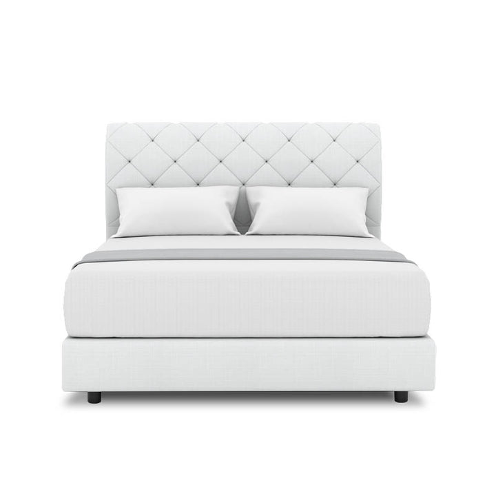 Belissa Headboard + Night Angelica Divan (Bed Frame)