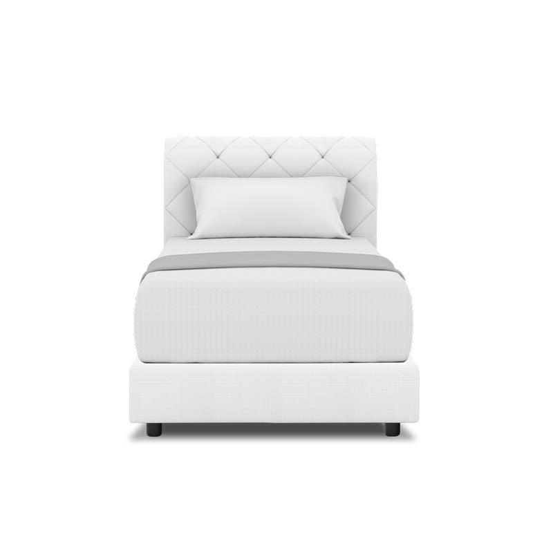 Belissa Headboard + Night Angelica Divan (Bed Frame)